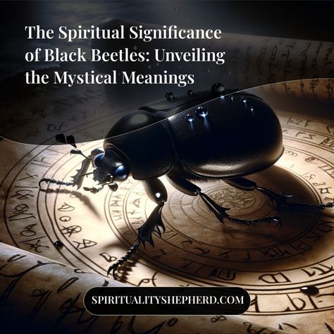 Feeling puzzled about the spiritual meanings of black beetles in your life path? Enlighten yourself on their mystical symbolism and how it can channel positive energy into your spirituality, on my site. Make sure you pin this for moments when you need reminders of the universe's messages through black beetles. Black Beetle Spiritual Meaning, Beetle Spiritual Meaning, Black Beetle, Spirit Animal Meaning, Animal Meanings, African Traditions, Dream Symbols, Overcoming Obstacles, Mystical World