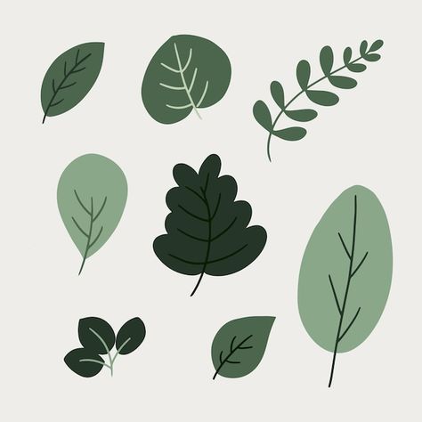 Set of handdrawn leaves | Premium Vector #Freepik #vector #illustrations #green-illustration Green Plant Illustration, Leaves Illustration Pattern, How To Draw Leaf, Leaf Design Drawing, Leaf Painting Easy, Nature Graphic Design Illustration, Plant Design Drawing, Leave Illustration, Leaf Graphic Design