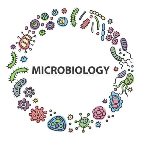 ~Big Bang Theory Characters Microbiology Logo, Bacteria Cartoon, Microbiology Art, Big Bang Theory Characters, Biology Project, Science Drawing, Micro Organisms, Science Icons, School Book Covers