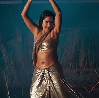 Katrina Kaif Navel, Silver Saree, Shirley Setia, Katrina Kaif Photo, Celebrity Pics, Avneet Kaur, Arabian Beauty Women, Celebrity Portraits, Bollywood Girls