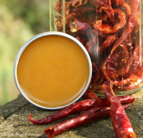 Cayenne Salve for Pain Relief - Photo by Jan Berry (HobbyFarms.com) #diy #salve Diy Salve, Salve Recipes, Pain Relief Remedies, Herbal Salves, Infused Oil, Healing Salves, Herbal Recipes, Diy Remedies, Infused Oils