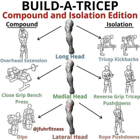 Fitness I Nutrition I Training (@fitnesstipsdaily) posted on Instagram: “💪🏼 How Often Do You Train Your Triceps? 💪🏼⁣ Make sure to follow 👉 @fitnesstipsdaily 👈 for more workouts & fitness tips! 🚀 📢 Find this…” • Dec 25, 2021 at 6:00am UTC Isolation Exercises, Effective Workout Plan, Tricep Kickback, Different Exercises, Triceps Workout, Biceps Workout, Effective Workouts, Gym Workout Tips, Bodybuilding Workouts