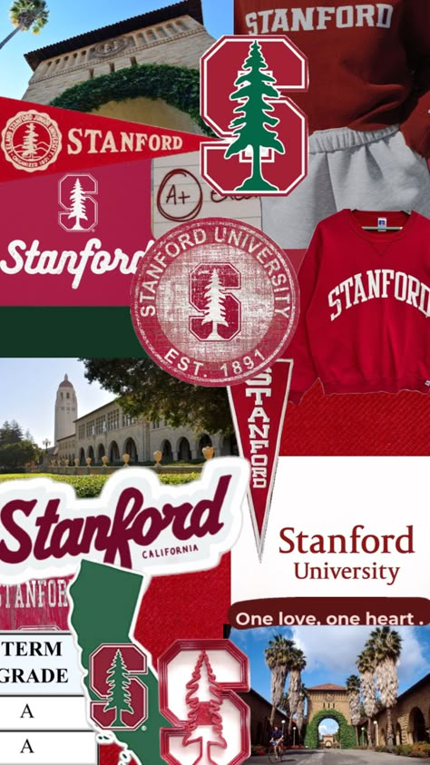 Stanford Graduation, Stanford California, University Inspiration, Mba Graduation, Stanford Law, College Wallpaper, College Vision Board, College Motivation, Medical Student Motivation