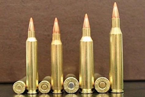 The Big Game Hunting Blog Do you feel the need for speed? If so, here are some cartridges that deliver the fastest bullet velocity currently available in a centerfire rifle cartridge. There has always been a certain obsession among hunters and shooters with achieving the fastest bullet velocity possible. This is especially important among varmint and predator hunters. After all, […] The post 9 the Fastest Bullet Velocity Rifle Cartridges on the Market Today appeared first on Wide Open Spac Reloading Data, Bulletproof Clothing, Game Hunting, Big Game Hunting, Hunting Humor, Bullet Proof, Survival Techniques, Shooting Accessories, Man Stuff