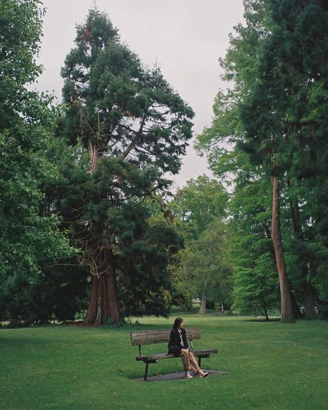 📼 (@pameluft) posted on Instagram: “sat at that park bench by chance and it ended up having a dedication to someone named Pam. hoping one day I can have my own at a favorite,…” • Sep 1, 2021 at 9:57pm UTC Girl Struggles, Photo Composition, Photo Inspo, Park Bench, One Day, I Can, Bench, Instagram Photo, Art Prints