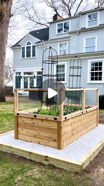 Caged Garden Beds, Raised Garden Beds Deer Proof, Raised Bed Fence, Garden Cage Ideas, Deer Proof Garden Raised Beds, Fenced Garden With Raised Beds, Garden Bed Fence, Animal Proof Garden, Raised Bed Fencing