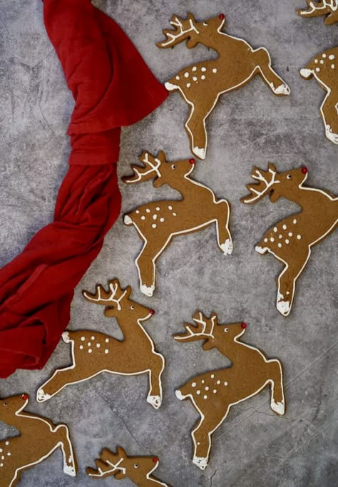 Gingerbread Reindeer Cookies For Santa | Simmer + Sauce Gingerbread Cookies Reindeer, Deer Gingerbread Cookies, Gingerbread Santa Cookie, Reindeer Cutout Cookies, Gingerbread Bear Cookies, Christmas Reindeer Cookies Decorated, Gingerbread Cookies Design, Gingerbread Reindeer Cookies, Decorated Reindeer Cookies