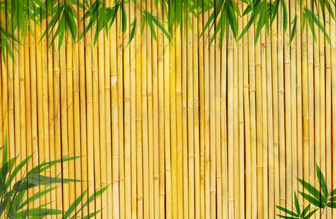 Bamboo Background. Light Golden bamboo Background great for any project. frame o #Sponsored , #paid, #affiliate, #Background, #Golden, #project, #Light Panda Background, Bamboo Background, Gold And Black Background, Ganpati Bappa Wallpapers, Golden Bamboo, Nature Photography Trees, Background Light, Bamboo Fence, Bamboo Leaves