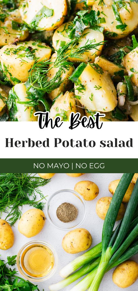 Discover a lighter, fresher take on a classic with this no mayo herbed potato salad recipe! This delightful salad is tossed with a zesty herb vinaigrette made from olive oil, lemon, mustard and lots of herbs, packing it with flavour without the heaviness of mayonnaise. It's the perfect side dish for summer picnics, BBQ and other warm weather gatherings. Enjoy this simple yet extraordinary no mayo potato salad that's both healthy and delicious. No Mayo Salads Summer, Potato Salad Without Mayonnaise, Potato Salad Without Eggs, No Mayo Potato Salad, Mayo Potato Salad, Potato Salad No Mayo, Herbed Potato Salad, Herb Vinaigrette, Homemade Potato Salads