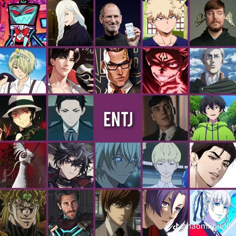 Entj Personality Characters, Entj 3w4, Entj Anime Characters, Entj Male, Entj Characters, 16 Personalities Enfp, Intp Characters, Infp Characters, Anime Mbti