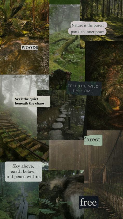 The forest is my home #otherkin #forest #aesthetic #wallpaper #woods #forestcore Forest Aesthetic Wallpaper, Forestcore Aesthetic, Forest Cottage, Forest Core, Forest Aesthetic, Cute Black Cats, Forest Wallpaper, + Core + Aesthetic, Aesthetic Wallpaper