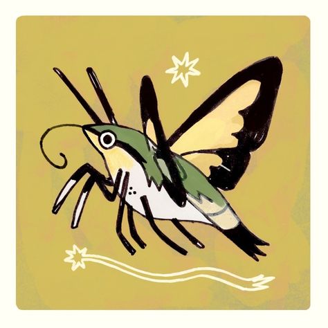 nepeteaa on Tumblr Hummingbird Moth, Beetle Art, Bug Art, Animal Doodles, Funky Art, Creature Design, Pretty Art, Beautiful Artwork, Doodle Art