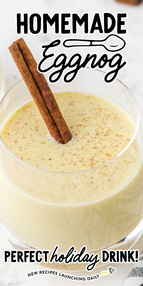 Non Alcoholic Eggnog Recipe, Eggnog Recipe Spiked, Best Eggnog Recipe, Egg Nog Recipe Easy, Homemade Eggnog Recipe, Alcoholic Eggnog, How To Make Eggnog, Eggnog Cocktail, Eggnog Recipe Homemade