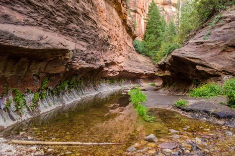 The Ultimate Arizona Road Trip: 7 Perfect Days in Arizona - Eternal Arrival Trip To Arizona, Trip To Grand Canyon, Arizona Road Trip, Perfect Days, Helicopter Ride, Helicopter Tour, Trip Itinerary, Road Trip Itinerary, Desert Landscaping