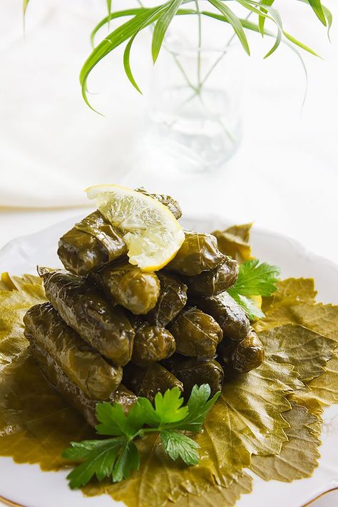 Stuffed Grape Leaves Recipe, Warak Enab, Appetizer Vegetarian, Grape Leaves Recipe, Lebanon Food, Wine Leaves, Vegetarian Appetizer, Stuffed Grape Leaves, Armenian Recipes