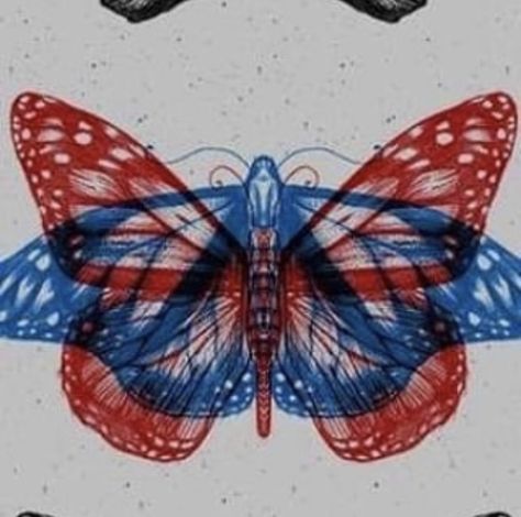 Butterflies, Red, Blue