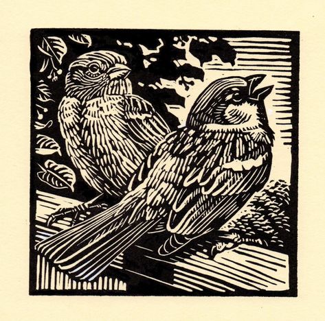 Richard Allen, Book Garden, Woodcut Art, Tawny Owl, Owl Watercolor, Scratchboard Art, Linocut Printmaking, Lino Art, Garden Birds