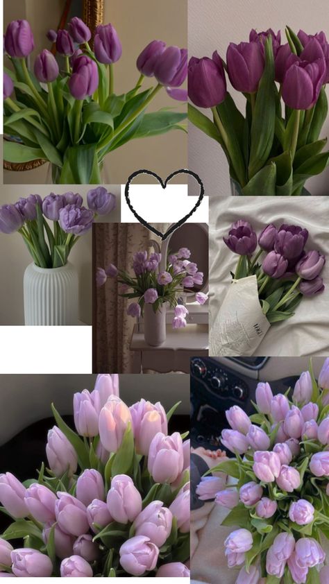 Tulip Flower Pictures, Fancy Flowers, Light Blue Flowers, Nothing But Flowers, Purple Tulips, Cute Flower Wallpapers, Flower Therapy, Beautiful Bouquet Of Flowers, Luxury Flowers