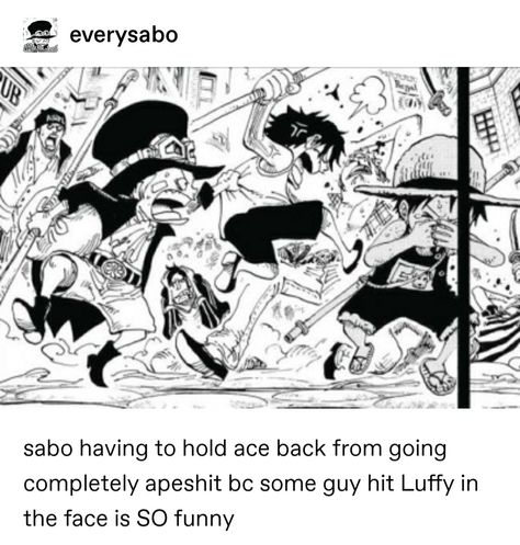 One Piece Fan Comic, One Piece Comic Funny, Asl Trio, One Piece Asl, Asl One Piece, One Piece Tumblr, Asl Brothers, One Piece Crossover, رورونوا زورو