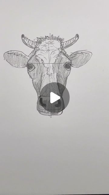 Mark Liam Smith on Instagram: "Draw a cow 🐮 Easy drawing tutorial for new artists on how to draw a cow #drawinglesson #howtodraw" How To Draw A Highland Cow, Cow Easy Drawing, How To Draw A Cow, How To Draw Cow, Draw A Cow, Cow Sketch, Cow Drawing, Easy Drawing Tutorial, Cow Head