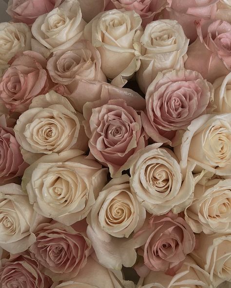 Blush Pink Widget Aesthetic, Pink And Beige Flowers, Beige And Light Pink Aesthetic, Pink And Beige Phone Layout, Soft Pink Luxury Aesthetic, White And Pink Roses Aesthetic, Light Pink And Beige Aesthetic, Light Pink Aesthetics, Pink And Neutral Aesthetic