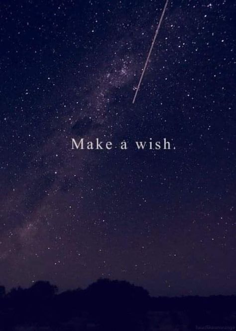 Fairytale Quotes, Questions To Ask Your Boyfriend, Star Quotes, Personal Questions, Wish Come True, Shooting Star, Know Nothing, Shooting Stars, Make A Wish