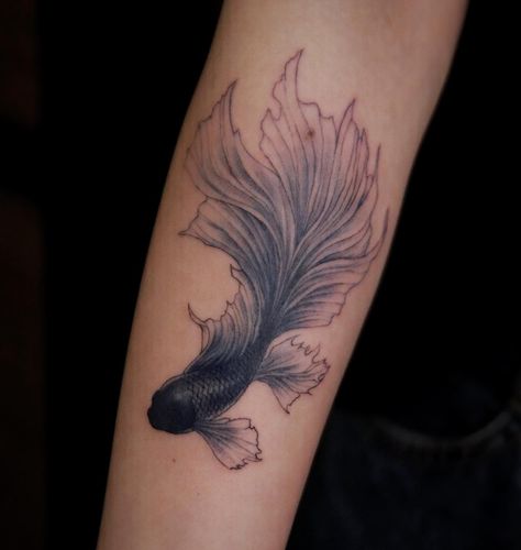 Betta Fish Tattoo, Betta fish tattoo design, women's Betta fish tattoo, Betta fish tattoo designs, simple Betta fish tattoo, watercolor betta fish tattoo, Betta fish tattoo small, black Betta fish tattoo, small Betta fish tattoo, realistic betta fish tattoo, betta fish tattoo simple, betta fish tattoo drawing, betta fish tattoo ideas, red betta fish tattoo, geometric betta fish tattoo, Betta fish tattoo traditional,Female betta fish Tattoo,Betta fish tattoo outline,Siamese fighting fish Tattoo Black Betta Fish Tattoo, Betta Fish Tattoo Ideas, Fish Tattoo Betta, Black And White Betta Fish Tattoo, Betta Fish Tattoo Design, Beta Tattoos, Fighter Fish Tattoo, Beta Fish Tattoo Design, Beta Fish Tattoos