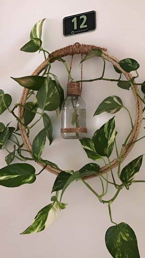 Hanging Plants Diy, Hanging Gardens, Plant Hanging, نباتات منزلية, Diy Plant Hanger, Inside Plants, Growing Plants Indoors, Garden Crafts Diy, Craft Room Decor