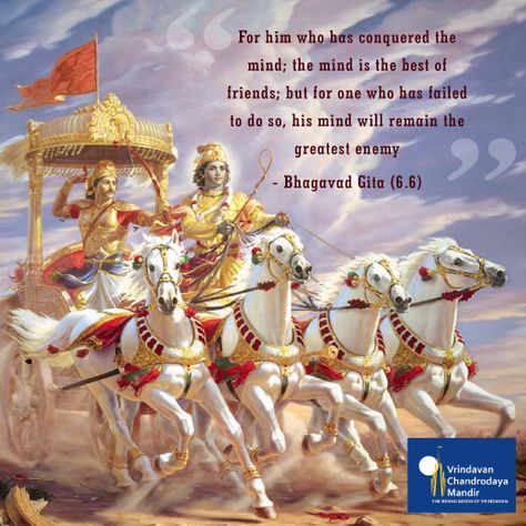 Gita Sayings, Work Motivational Quotes Funny, Bhagvad Geeta, Mahabharata Quotes, Hinduism Quotes, Motvational Quotes, Unforgettable Quotes, Hindu Quotes, Geeta Quotes