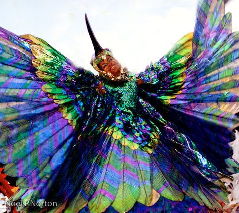 Another Minshall (Peter Minshall) fav!  "THE HUMMINGBIRD" Humming Bird Costume, Hummingbird Costume, Bird Wings Shawl, Bird Inspired Fashion Haute Couture, Alexander Mcqueen Birds, Iridescent Bird Wings, Caribbean Carnival Costumes, Bug Costume, Soca Music