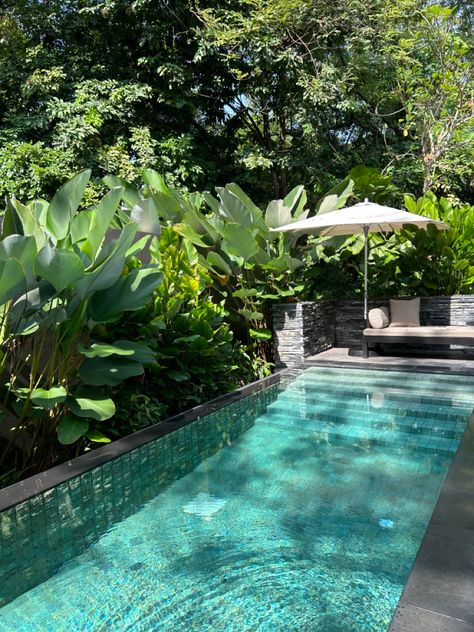 Singapore House, Pool Plants, Green Pool, Jungle House, Pool Finishes, Pool Landscape Design, Pool Colors, Mini Pool, Small Pool Design