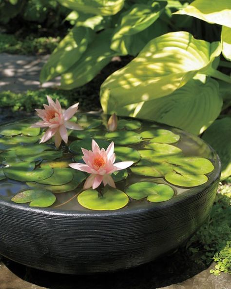 I have always wanted one of these (potted water garden) and don't know why I don't just build one! A pump, pot and plants.....woolah!!! Water Garden in a pot! Fend Shui, Diy Container, Kolam Koi, Container Water Gardens, Water Gardens, Water Features In The Garden, Ponds Backyard, The Secret Garden, A Pond