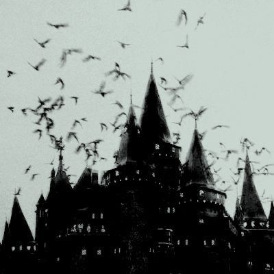 Paradis Sombre, Goth Architecture, Vampire Castle, Goth Core, Independent Study, Vampire Goth, My Year, Gothic Aesthetic, Gothic Horror