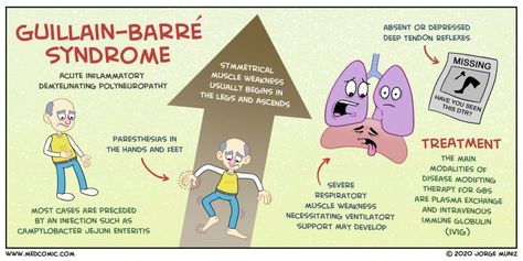 Learn about Guillain-Barré syndrome with a Medcomic rap Guillain Barre, Guillain Barre Syndrome, Medical Mnemonics, Med Surg Nursing, Nursing Mnemonics, Pa School, Respiratory Therapy, Medical School Studying, Medical Examination