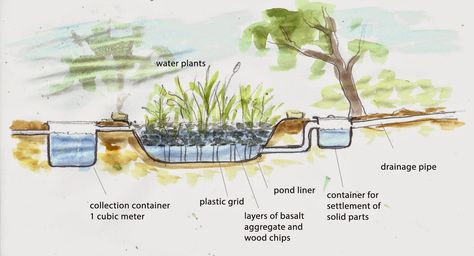 Grey Water System Diy, Grey Water System, Pond Liner, Water Purification System, Permaculture Gardening, Organic Vegetable Garden, Water Pond, Water Filters System, Rainwater Harvesting