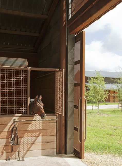 Horse Stables Design, Equestrian Stables, Stable Style, Lake Flato, Horse Barn Ideas Stables, Loafing Shed, Horse Barn Designs, Horse Facility, Hay Barn