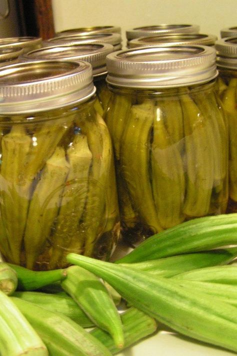 Hot Pickled Okra Recipe, Pickled Okra Recipe, Okra Recipe, Pickled Okra, Okra Recipes, Pickled Eggs, Pickling Recipes, Dee Dee, Okra