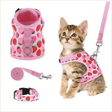 URATOT Cat Harness and Leash Set Cat Vest Harness Pet Leash and Collar Set Pet Harness Cat Harness And Leash, Harness And Leash Set, Small Dog Harness, Vest Harness, Cat Leash, Cat Harness, Pet Leash, Small Puppies, Pet Harness