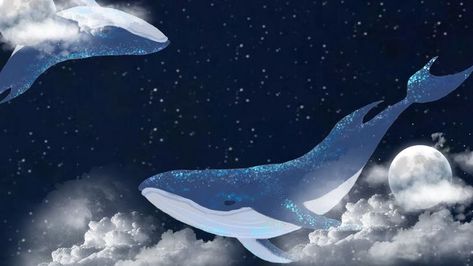 Dolphin Photos, Funky Wallpaper, Slide Background, Desktop Wallpaper Design, Cute Laptop Wallpaper, Desktop Wallpaper Art, Cute Whales, Whale Art, Cute Desktop Wallpaper