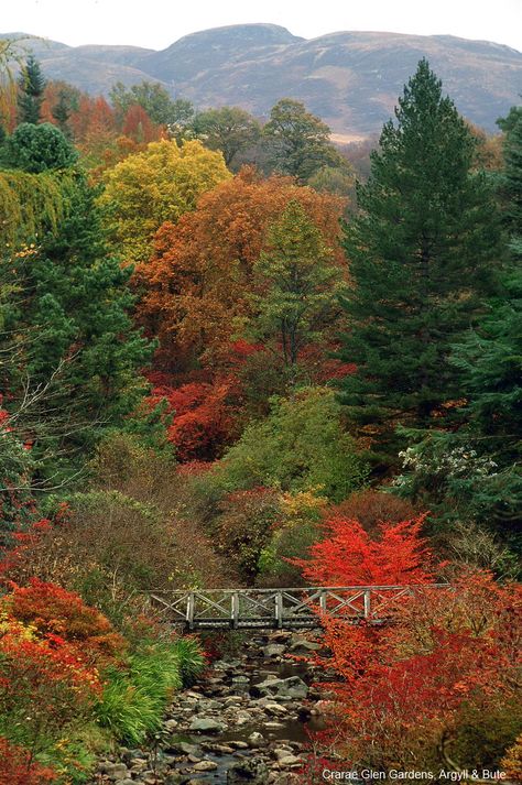 A1. The #autumn colours in #Scotland are the best! #ScotlandHour Scottish Landscapes, Nature Women, Crazy Nature, Scotland Castles, Autumn Tree, Visit Scotland, Scottish Landscape, Autumn Colours, Autumn Scenery