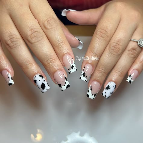 Brown Black And White Cow Print Nails, Coloured Cow Print Nails, Acrylic Nails Ideas Cow Print, Nails Acrylic Short Cow Print, Cow Print Fake Nails, Moo Cow Nails, Cheetah And Cow Print Nails, Sparkly Cow Print Nails, Halloween Cow Print Nails