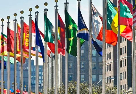 United Nations Day 2019 — What It Is and Related Holidays United Nations Day, Image Notes, History Lessons, People Of The World, United Nations, Countries Of The World, Country Flags, Wind Sock, Around The World