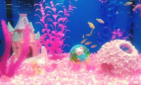 Discovered by kawaii kanye west. Find images and videos on We Heart It - the app to get lost in what you love. Fish Tank Themes, Cool Fish Tanks, Fish Tank Design, Coconut Dream, Betta Tank, Pink Fish, Turtle Tank, Betta Fish Tank, Cool Fish