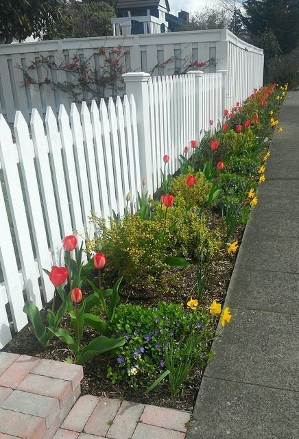 Picked Fence Ideas, Flowers Along Fence, Picked Fence, School Fence, Sidewalk Garden, Short Fence, Garden Planters Diy, Patio Images, Screened Porches