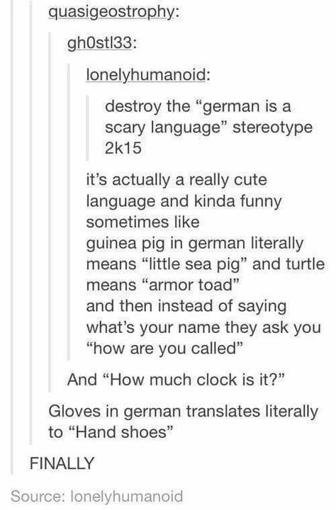 German is one of my favorite languages German Curse Words, German Tumblr, Duolingo Memes, German Word, Learning German, German Words, Learn German, What Is Your Name, Small Words