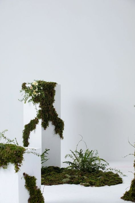 Indoor Plant Installation, Nature Exhibition Design, Minimalist Set Design, Jungle Installation, Moss Installation, Moss Photoshoot, Fashion Set Design, Green Installation, Minimal Garden