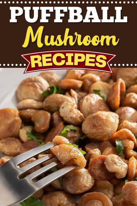 You'll get a kick out of making these puffball mushroom recipes! From burgers to lasagna to pizza, these mushrooms add so much flavor. Puff Ball Mushroom Recipes, Puff Ball Mushroom, Puffball Mushroom Recipes, Mushroom Chili, Puffball Mushroom, Tomato Pizza Sauce, Fettuccine Alfredo Recipes, Mushroom Burger, Mushroom Soup Recipes