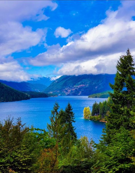 Lake Cushman, Olympic National Forest, Washington �©️ dMarie Photography Forest Washington, Olympic National Forest, National Forest, Washington, Forest, Lake, Natural Landmarks, Photography, Travel