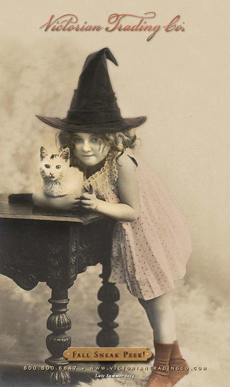 Vintage Halloween Photos, Vintage Foto's, Vintage Animals, Vintage Cats, Carte Halloween, Vintage Witch, Vintage Versace, Season Of The Witch, Halloween Images