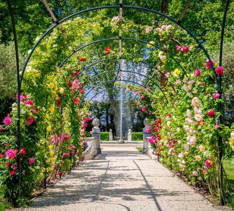 Yule Wedding, Chateau Garden, Provencal Decor, Garden Room Ideas, Creative Garden Decor, Wall Carvings, Chateau France, Grand Homes, Wedding Event Venues